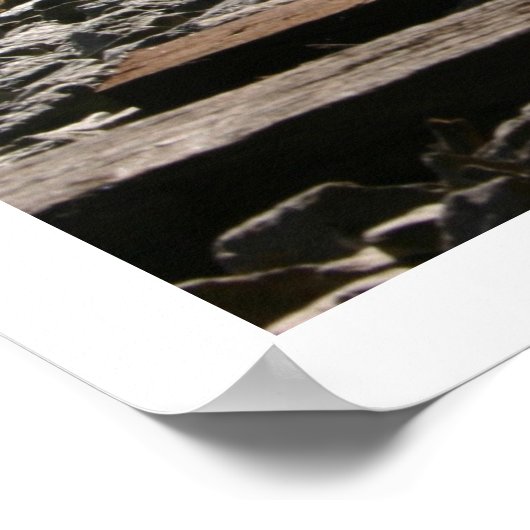 Tracks Poster (Hoek)