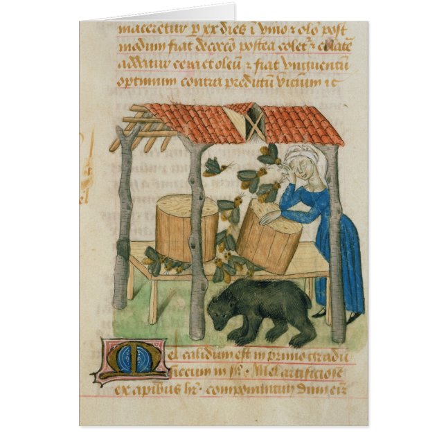 Tractatus de Herbis' (Voorkant)