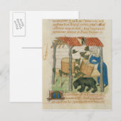 Tractatus de Herbis' Briefkaart (Voorkant / Achterkant)