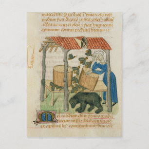 Tractatus de Herbis' Briefkaart