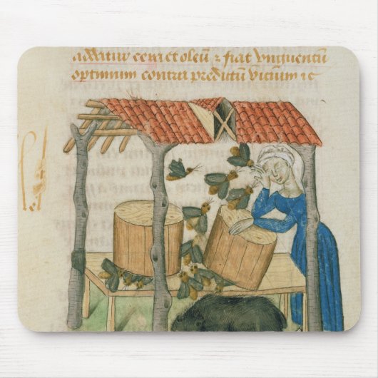 Tractatus de Herbis' Muismat (Voorkant)