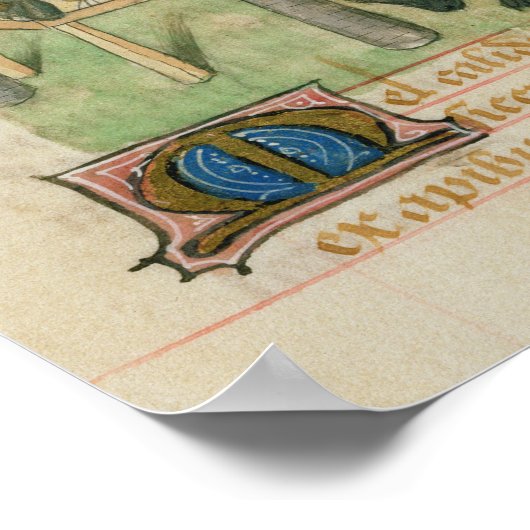 Tractatus de Herbis' Poster (Hoek)