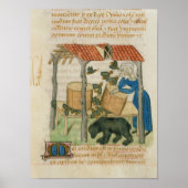 Tractatus de Herbis' Poster (Voorkant)