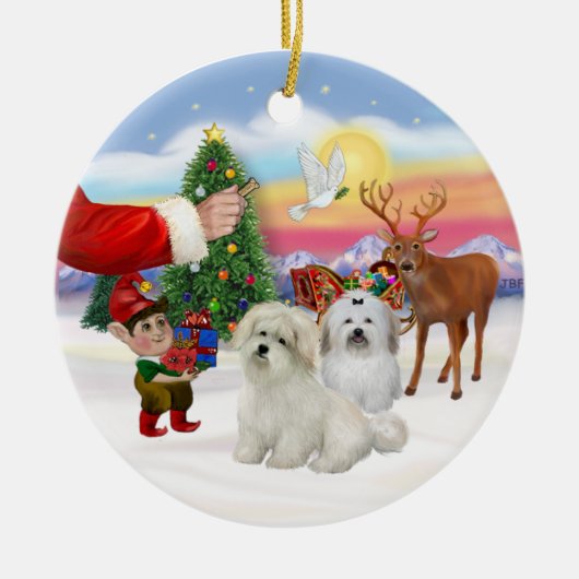 Tracteer- Twee Coton de Tulears Keramisch Ornament (Voorkant)