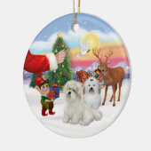 Tracteer- Twee Coton de Tulears Keramisch Ornament (Links)