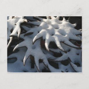 Tractor Cultivator Wheel Christmas Postcard Feestdagenkaart