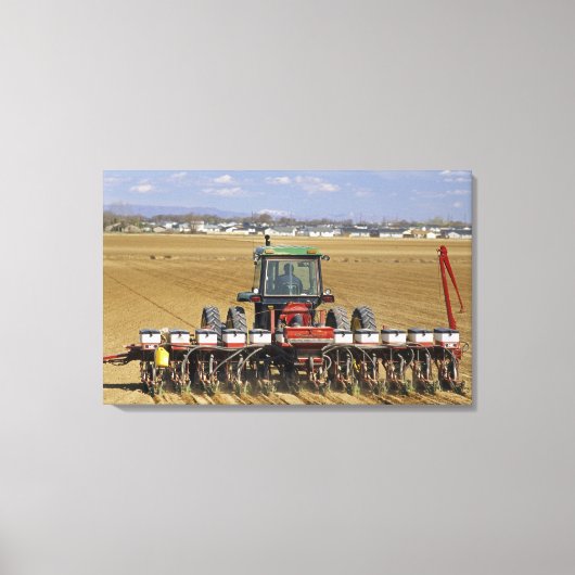 Tractor die een maiszaaimachine trekt. canvas afdruk (Voorkant)
