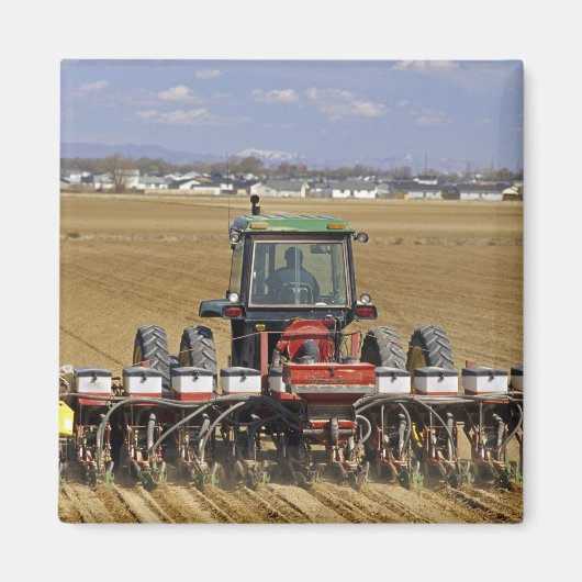 Tractor die een maiszaaimachine trekt. magneet (Voorkant)