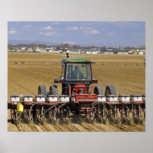 Tractor die een maiszaaimachine trekt. poster (Voorkant)