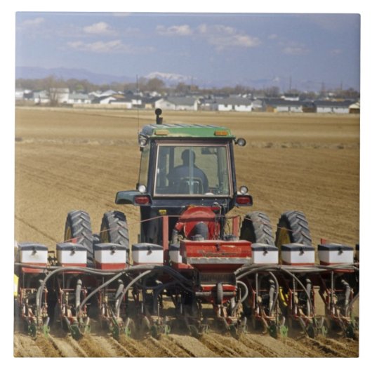 Tractor die een maiszaaimachine trekt. tegeltje (Voorkant)