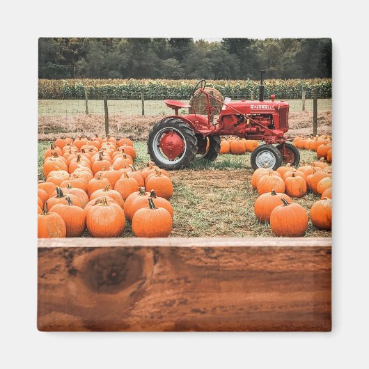 Tractor en pompoenen magneet (Voorkant)