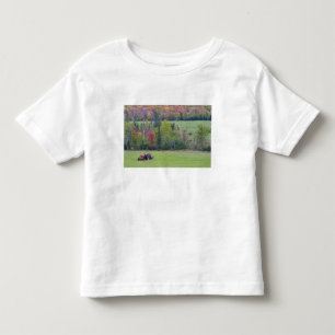 Tractor met hooibaal in groen veld met kinder shirts