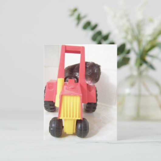 tractor rijnoah briefkaart (Staand voorkant)