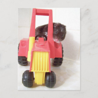 tractor rijnoah briefkaart
