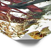  tractorfoto poster (Hoek)