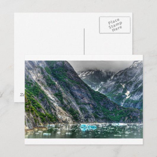 Tracy Arm Fjord in Alaska Briefkaart (Voorkant / Achterkant)