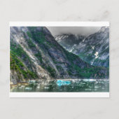 Tracy Arm Fjord in Alaska Briefkaart (Voorkant)