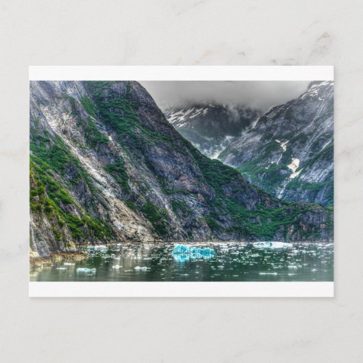 Tracy Arm Fjord in Alaska Briefkaart (Voorkant)