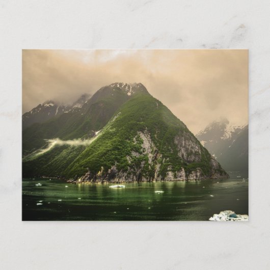 Tracy Arm Fjord in Alaska Briefkaart (Voorkant)