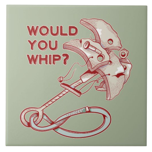 TRAD CLIMBING WHIPPER HERFST TEGELTJE (Voorkant)