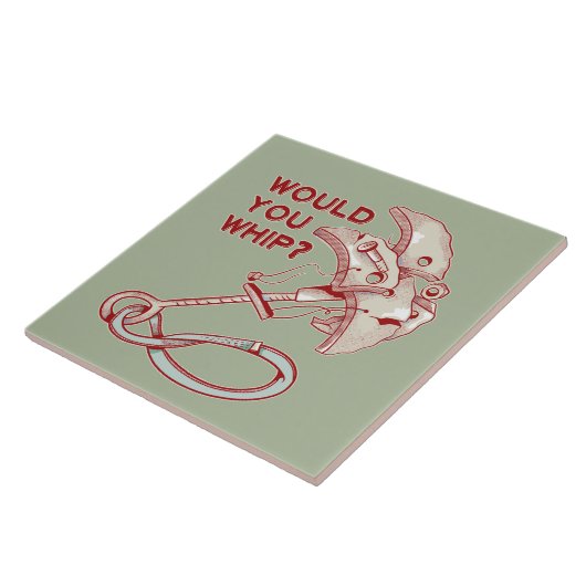 TRAD CLIMBING WHIPPER HERFST TEGELTJE (Zijkant)