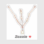 Trad rock klimmen buik sticker (Vel)