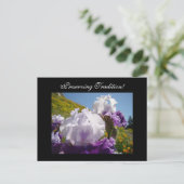 Tradities behouden! ansichtkaarten Iris Bloemen Briefkaart (Staand voorkant)
