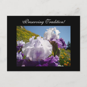 Tradities behouden! ansichtkaarten Iris Bloemen Briefkaart