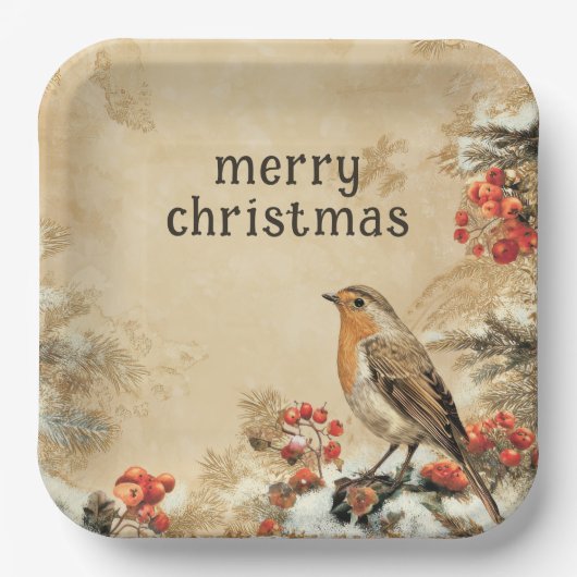 Traditional European Robin Christmas Holiday Papieren Bordje (Voorkant)