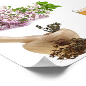 Traditional herbal medicine plant list for healing poster (Hoek)