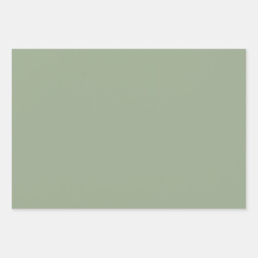 Traditioneel botanisch patroon - 3 ontwerp inpakpapier vel (Voorkant 2)