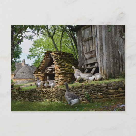 Traditioneel briefkaart van boerderij van hanen me (Voorkant)