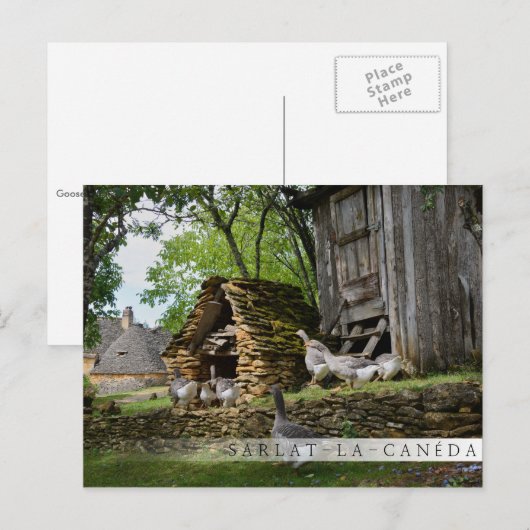 Traditioneel briefkaart van de boerderij van hanen (Voorkant / Achterkant)