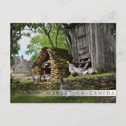 Traditioneel briefkaart van de boerderij van hanen (Voorkant)