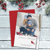 Traditioneel Elegant Season's Greeting's Cardinal Feestdagenkaart