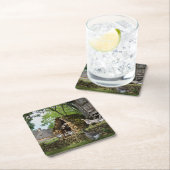 Traditioneel onderzetter van boerderij van hanen m (Insitu)