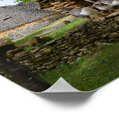 Traditioneel poster van boerderij van hanen met fo (Hoek)