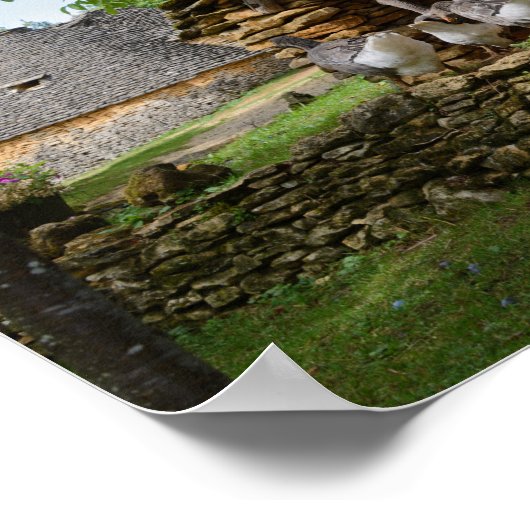 Traditioneel poster van boerderij van hanen met fo (Hoek)