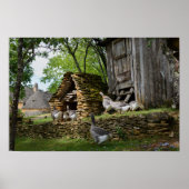 Traditioneel poster van boerderij van hanen met fo (Voorkant)