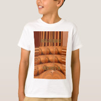 Traditionele Afrikaanse spiegel: geweven Giraffe