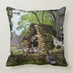 Traditionele boerderij van de ganzen van de foie g kussen