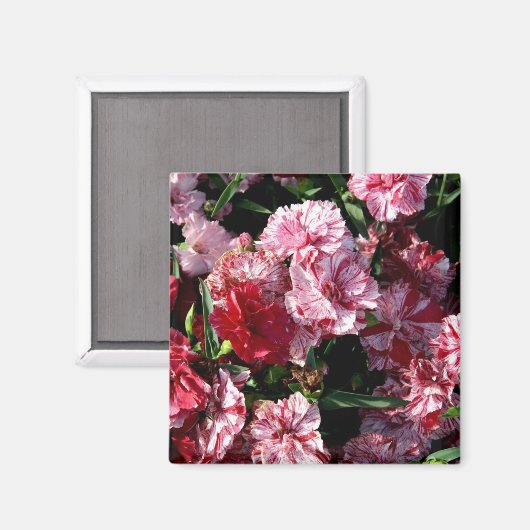 Traditionele bruiloft-anjers magneet (Voorkant / Achterkant)