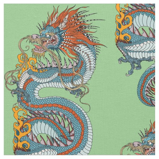 Traditionele Chinese draak Stof (Close Up)