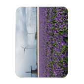 Traditionele en moderne windmolen in Holland magne Magneet (Verticaal)