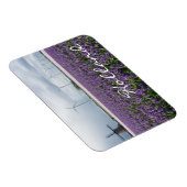 Traditionele en moderne windmolen in Nederland tek Magneet (Rechterzijde)