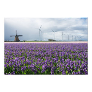 Traditionele en moderne windmolen in Nederlandse g Foto Afdruk