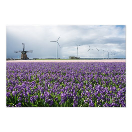 Traditionele en moderne windmolen in Nederlandse g Foto Afdruk (Voorkant)