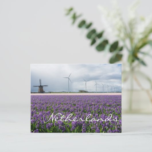 Traditionele en moderne windmolen, Nederland Briefkaart (Staand voorkant)