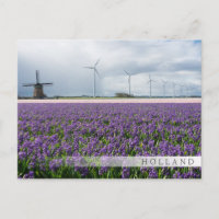 Traditionele en moderne windmolen, Nederlandse ban
