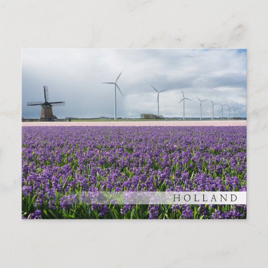 Traditionele en moderne windmolen, Nederlandse ban Briefkaart (Voorkant)